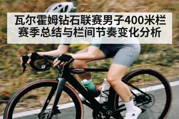 瓦尔霍姆钻石联赛男子400米栏赛季总结与栏间节奏变化分析（NG28）
