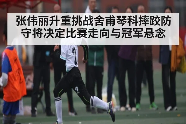 张伟丽升重挑战舍甫琴科摔跤防守将决定比赛走向与冠军悬念（NG28）